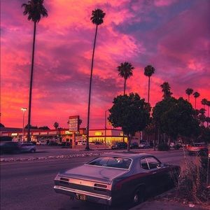 Meet your Posher, Austin